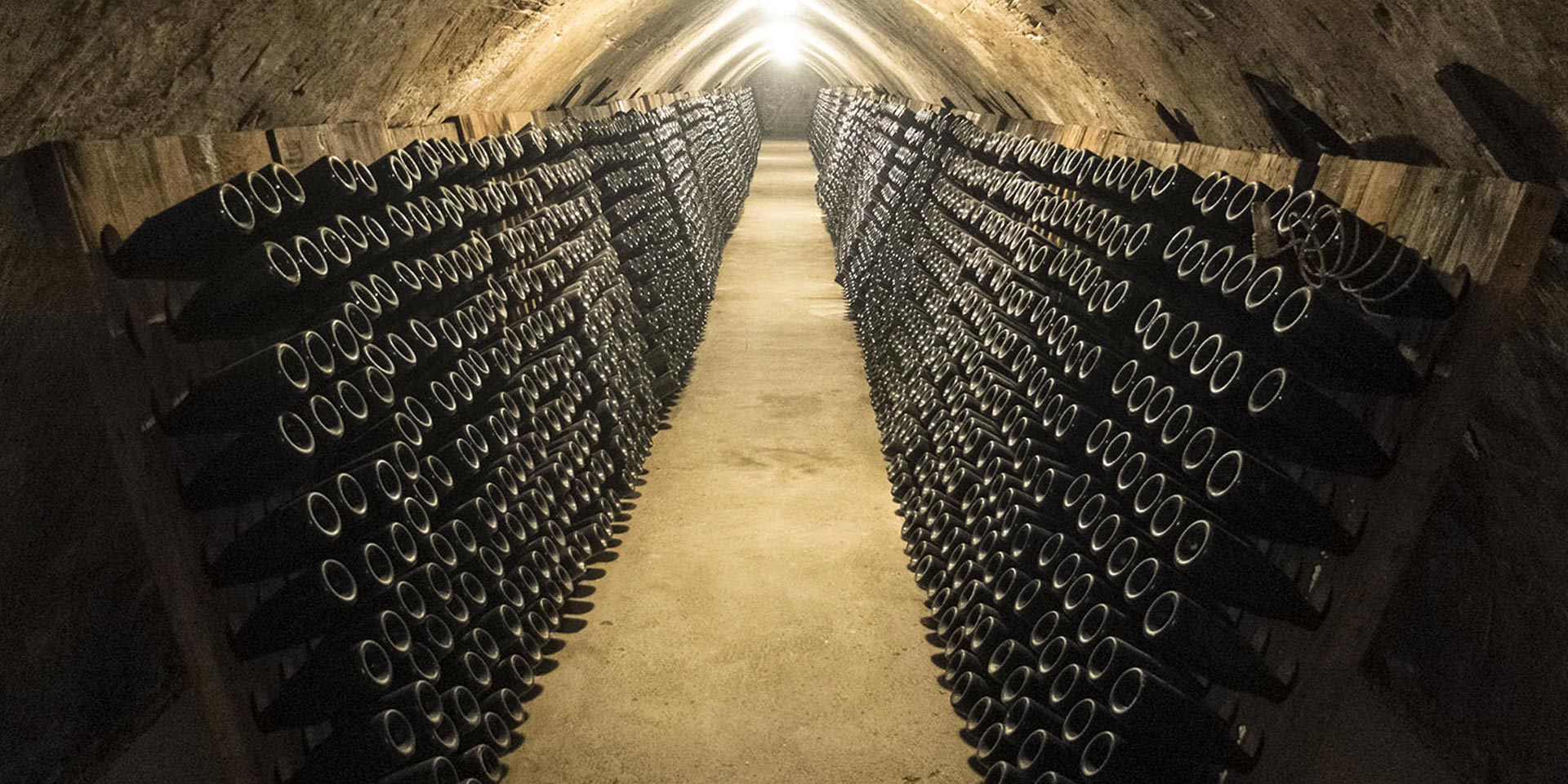 EXCURSIONS Officium Limousine